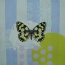 Marbled White 2, 23" x 17.5", acrylic on mylar