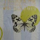 Western Marbled White, 11" x 14", acrylic and mixed media on masonite by Mary Lottridge 