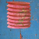 Painted Lantern, 22.25" x 24", detail by Mary Lottridge 