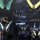 Butterfly Collection, 20" x 20", acrylic, mixed media on wood cradle