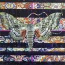 Carpet Moth 2, 20" x 20", acrylic on wood cradle