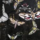 Coming, Going, 30" x 30", acrylic on wood cradle